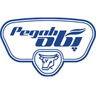 Pegah